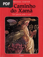 O Caminho Do Xama