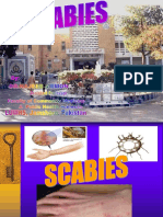 scabies pres.ppt