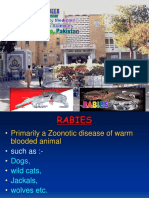 Rabies by DR Najeeb Memon Pakistan