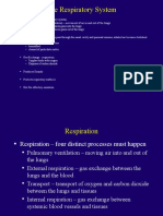 Basic Functions of The Respiratory System