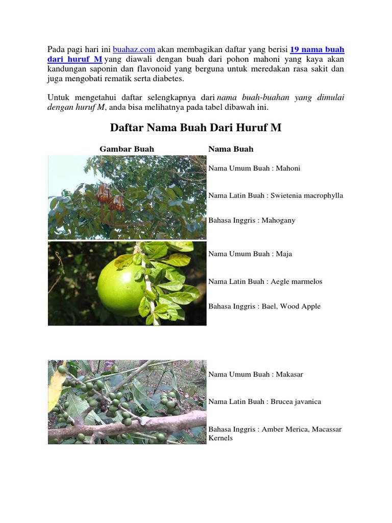 Buah Dari Huruf M Pdf