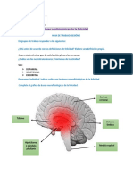 Bases neurofisiologicas de la felicidad 