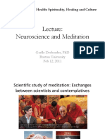 Neuroscience and Meditation: Rethinking Mental Health: Spirituality, Healing and Culture
