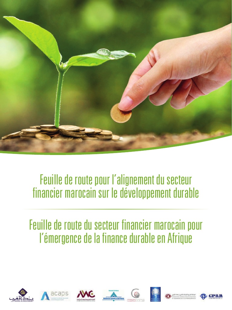 Feuille de route pour la finance durable au Maroc | PDF | Développement ...