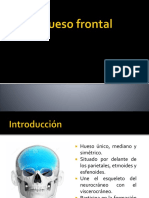 Hueso frontal PII.pptx