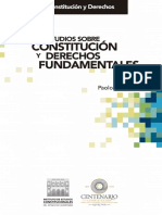 Estudios sobre Constitución y derechos fundamentales - Paolo Comanducci