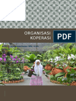 Organisasi Koperasi