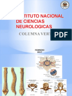 Craneo Columna Vertebral