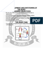 Development of the Four-Chambered Heart