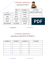 Conciencia Semantica Que Tienen en Comun PDF