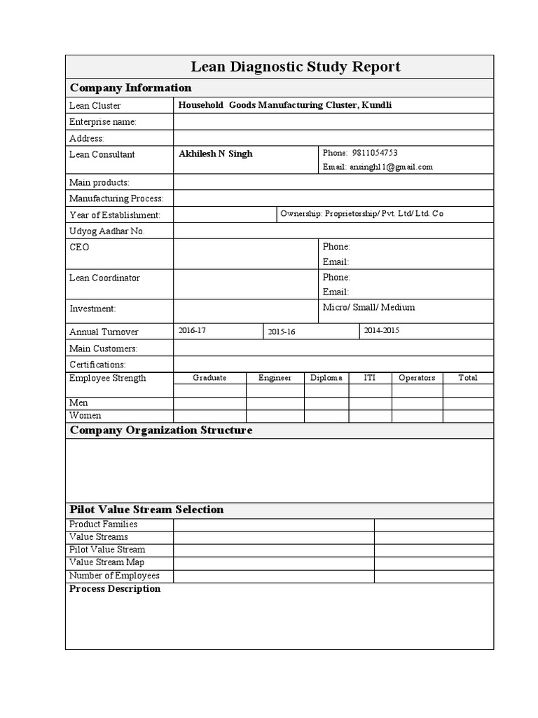 Lean Diagnostic Study Report | PDF | Inventory | Leadership
