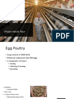 Egg Poultry