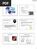 Mycobacterium Tb e Bovis
