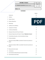 Informe Modelo Analisis Ergonomico de Puesto de Trabajo