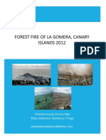 La Gomera Forest Fire Impact