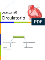 Sistema Circulatorio