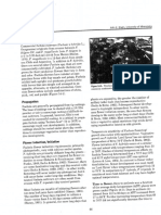 Fuchsia-1.pdf