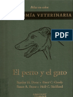Atlas A Color Anatomia Veterinaria Perro y Gato - Stanley Done y Otros