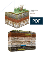Tipos de Suelo 