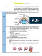 Hernia Nukleus Pulposus (HNP)