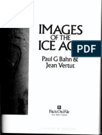Bahn - (Libro) Images of The Ige Age