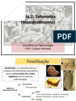 Aula 2 Tafonomia Bioestratinomia