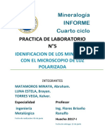 Mineralogia Informe rocas petrogenicas