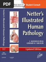 Download Netters Illustrated Human Pathology 2E 1 by ah SN353539835 doc pdf