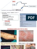 Fisiopatologia Dermatosis Ig A