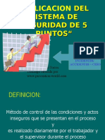 Los 5 Puntos de Seguridad