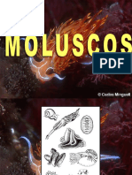 Moluscos Def.2006