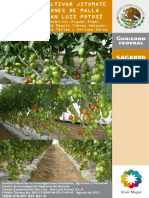 Guía para cultivar jitomate en mallas sombras.pdf