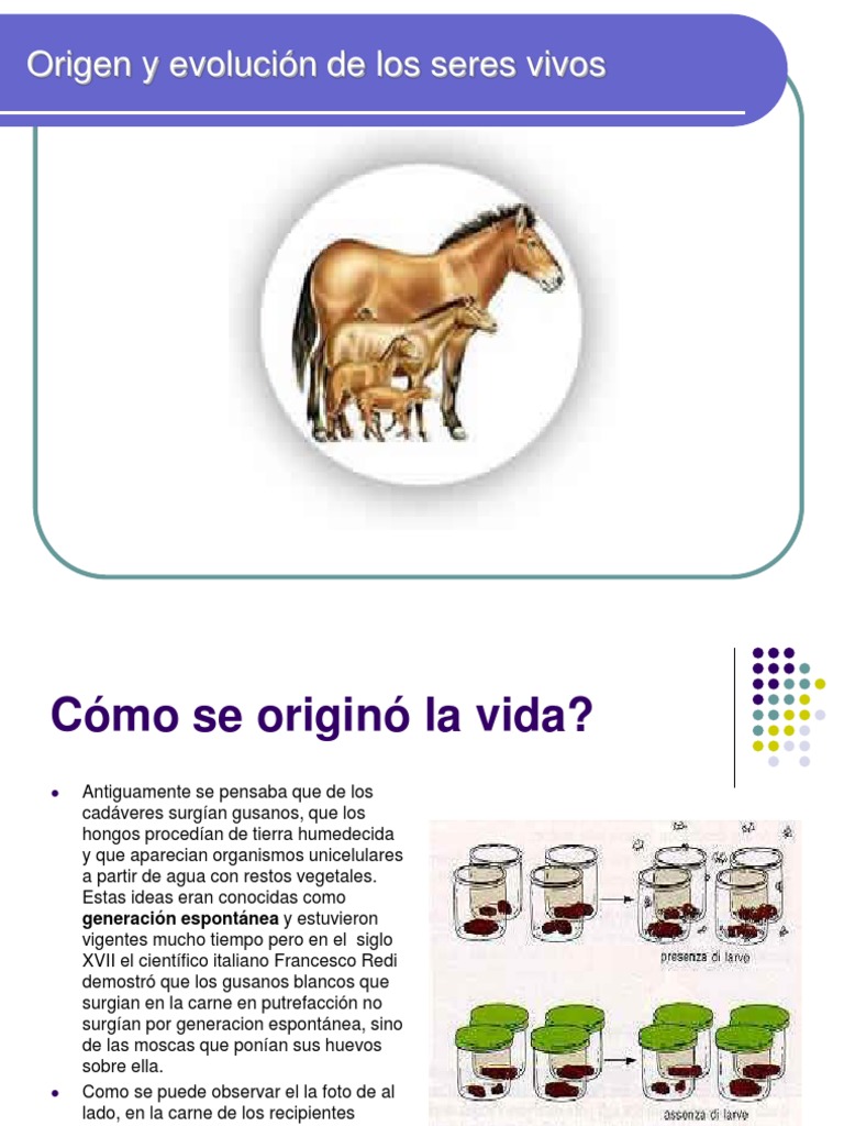 Origen y Evolución de Los Seres Vivos | PDF | Seleccion natural ...