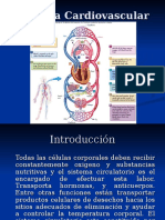 Sistema Cardiovascular