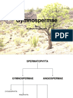 Gymnospermae 1