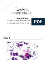 Cytology 2 SPOT T