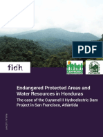 Report Honduras: Protected Areas and Water Resources Threatened by The Granting of Licences For Hydroelectric Plants