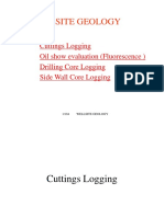 Wellsite Geology Cuttings Logging