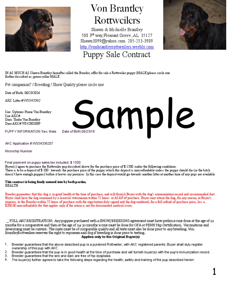 Sample Contract PDF American Kennel Club Animals And Humans