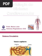 Pratica - Morfologia Do Sistema Cardiovascular