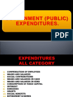 Government (Public) Expenditure