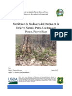Informe Final Monitoreo de Biodiversidad Marina en RNPC Ponce (Reverdece)