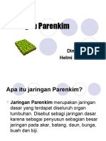 Jaringan Parenkim