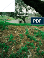 Palomino PDF
