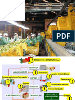 Inocuidad en Produccion Primaria Hortofruticola