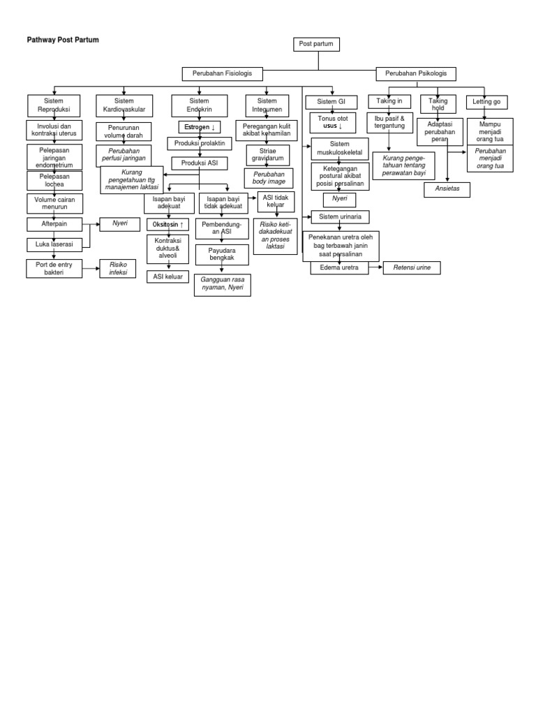 Pathway Post Partum dan Perubahan Fisiologis | PDF