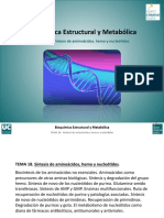 Tema 18. Sintesis de amino, hemo y nuecleotidos.pdf