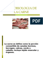Info_microbiologia-de-la-carne.pdf