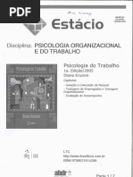 Psicologia_do_Trabalho_Diane_Krumm_Patre.pdf