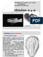 Curs 13 Saptamana IV.pdf